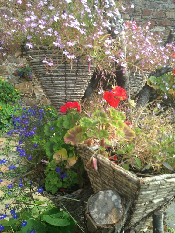 Belstane House Bed & Breakfast Cellardyke Bagian luar foto