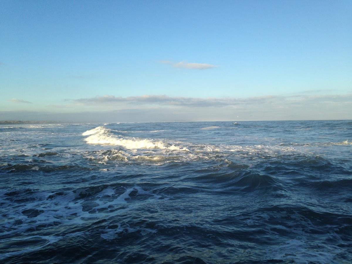 Belstane House Bed & Breakfast Cellardyke Bagian luar foto